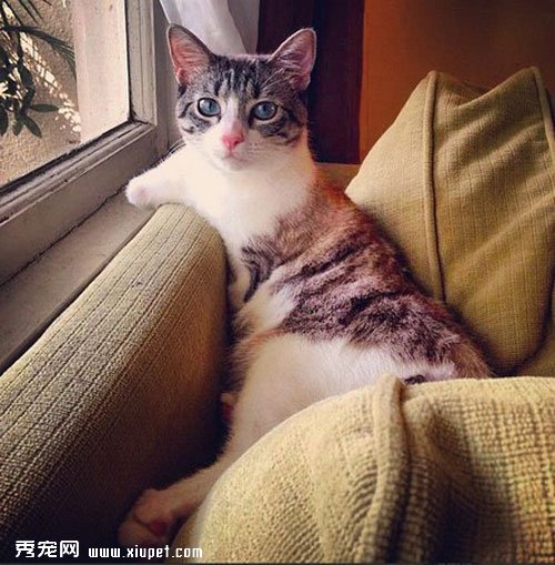 ����û��ǰ;���ɻ����ֹ۵�������