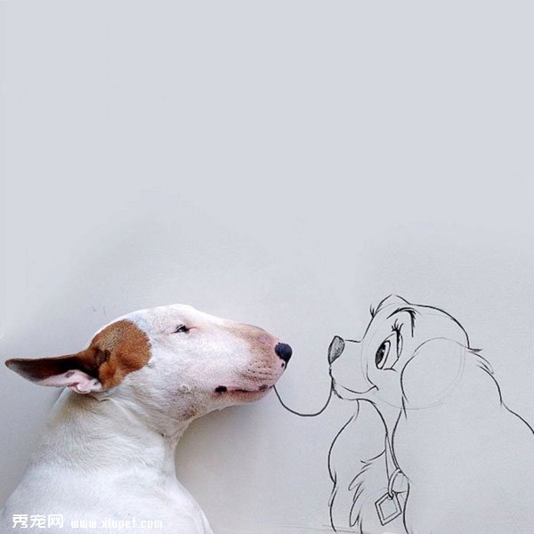 ��ţͷ��ͼƬ�����廭ʦ�����ȹ�