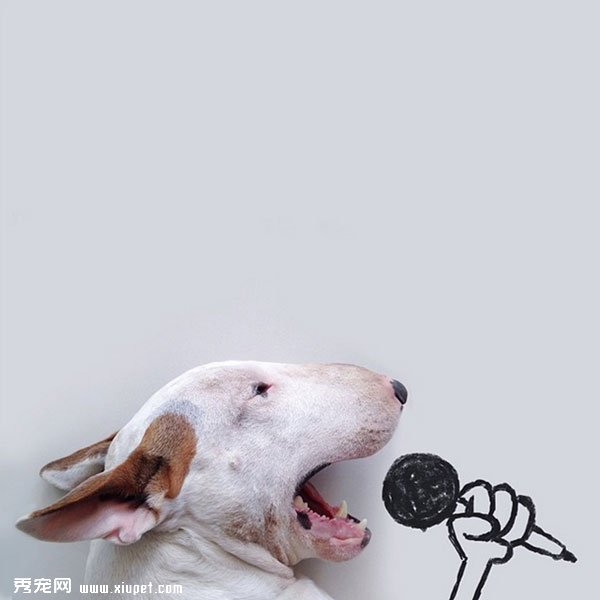 ��ţͷ��ͼƬ�����廭ʦ�����ȹ�
