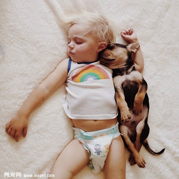 ���а������ﹷ����С����һ�𳤴�һ��˯