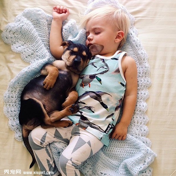 ���а������ﹷ����С����һ�𳤴�һ��˯