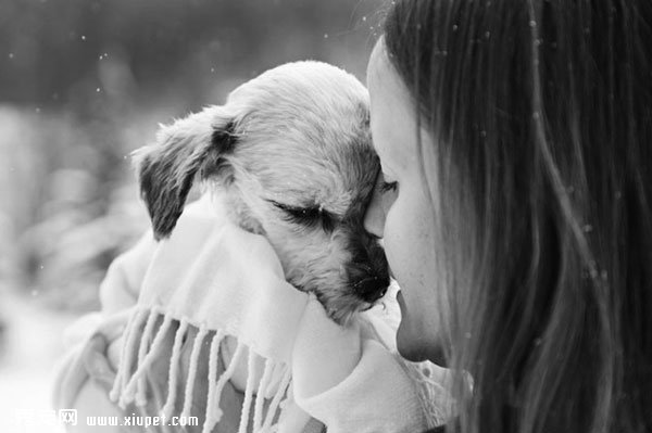 лл�����һ�������