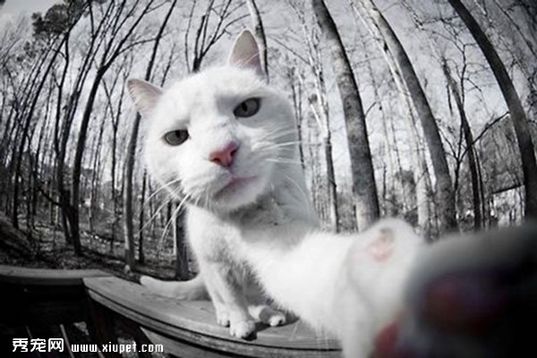 ��èèͼƬ��������Ҳ������