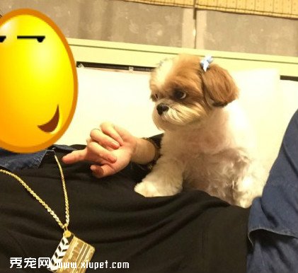 �������밮Ȯ