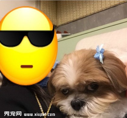 �������밮Ȯ