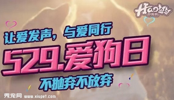 �����գ�����һ����Ҫ60���Ѳ��磬Ϊ����ֻ�����ź����ж����㻹�ڵ�ʲô��