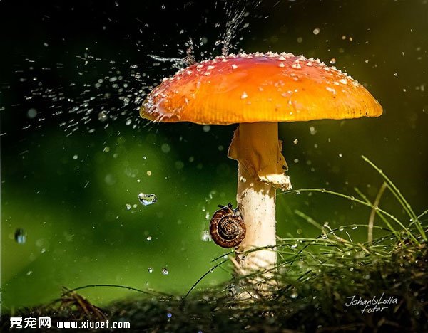 �����ɡ˲�䣬���㲻������������