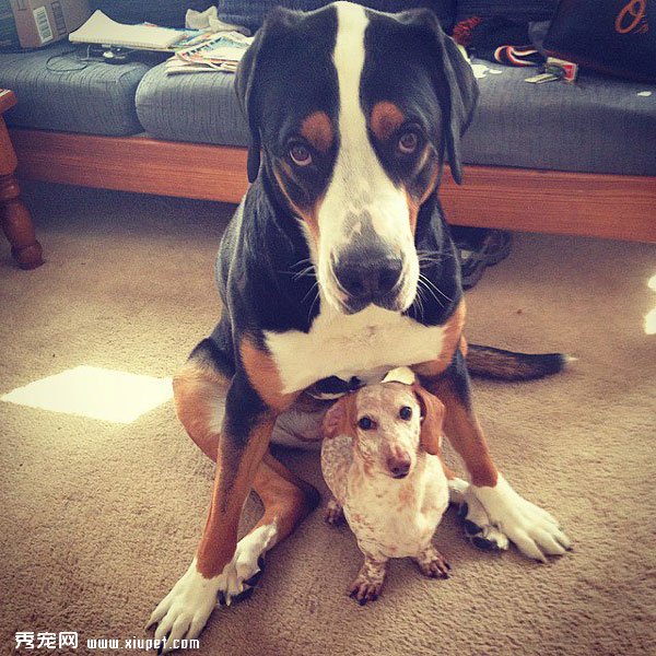 �䲻�����ˣ�ȴʤ�����˵���ܰ����