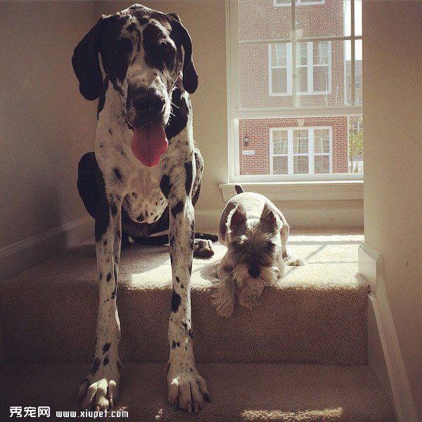 �䲻�����ˣ�ȴʤ�����˵���ܰ����