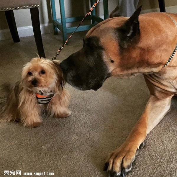 �䲻�����ˣ�ȴʤ�����˵���ܰ����