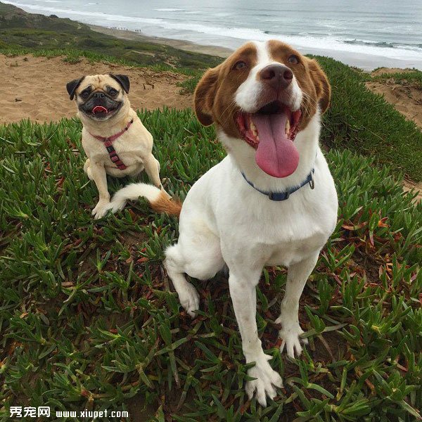 �䲻�����ˣ�ȴʤ�����˵���ܰ����