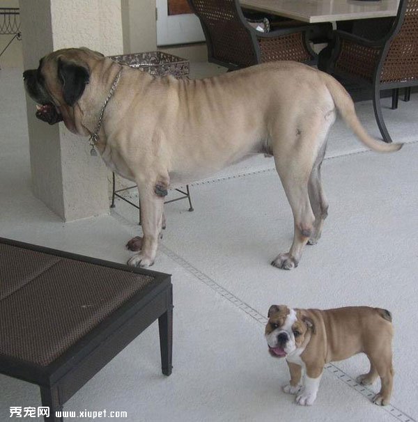 �䲻�����ˣ�ȴʤ�����˵���ܰ����