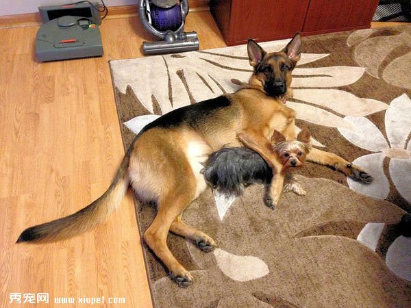 �䲻�����ˣ�ȴʤ�����˵���ܰ����