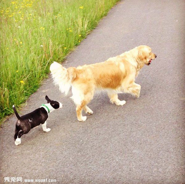 �䲻�����ˣ�ȴʤ�����˵���ܰ����