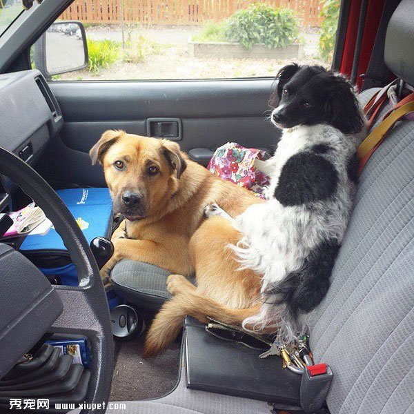 �䲻�����ˣ�ȴʤ�����˵���ܰ����