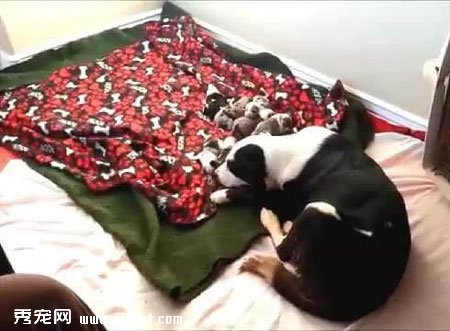 ��֮��ˮ���Ŀ��� �����������7ֻС��