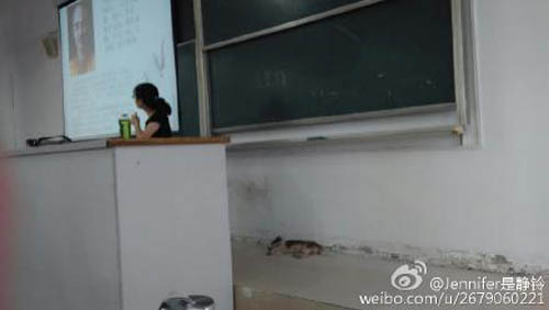 ����ũ�ִ�ѧ�������ߺ졡���ҽ�̨��˯��(ͼ)