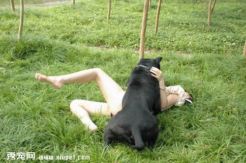 Ů��ȫ����2ֻ������������ײ�� ��ͼɱ�����