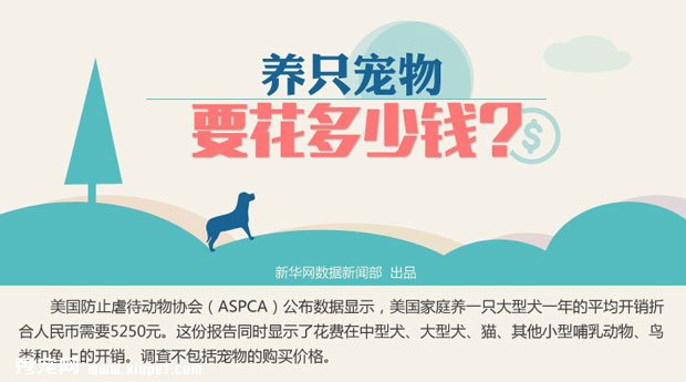 ���������ĳ���һ�껨����Ǯ