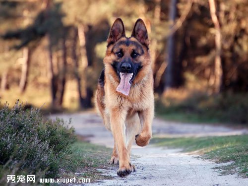 ���¹�����Ȯ�۸񡿵¹�����Ȯ���صļ۸�