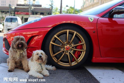 �ȳ�Ҳ�Ÿ� ������ר������������Ӱ�ߺ�