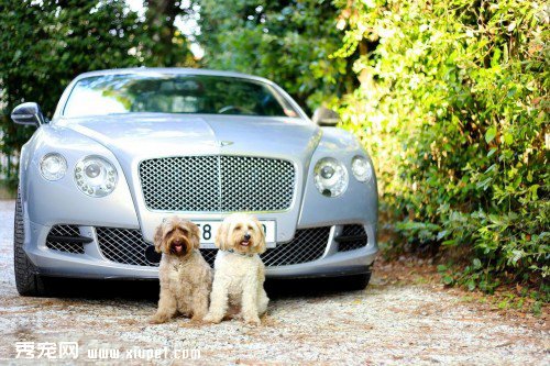 �ȳ�Ҳ�Ÿ� ������ר������������Ӱ�ߺ�