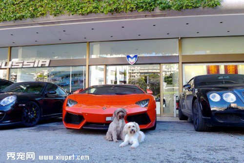 �ȳ�Ҳ�Ÿ� ������ר������������Ӱ�ߺ�