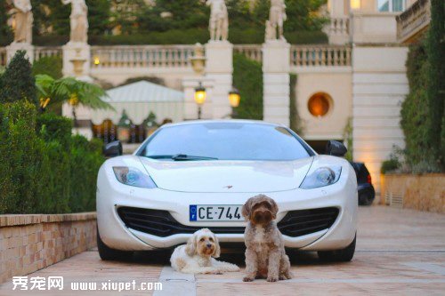 �ȳ�Ҳ�Ÿ� ������ר������������Ӱ�ߺ�