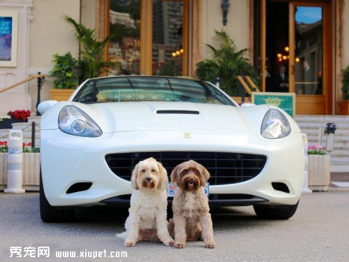�ȳ�Ҳ�Ÿ� ������ר������������Ӱ�ߺ�