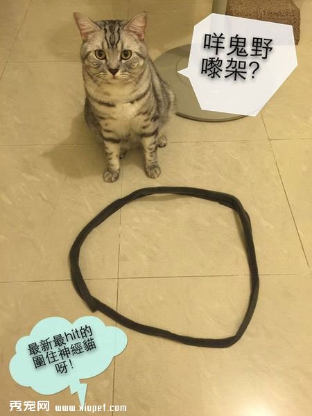 �ܰ���������˵�����èΧס��