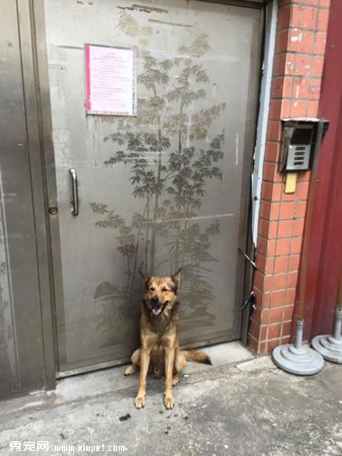 �ҹ���Ԣ���ĵ�������������Ҳ����
