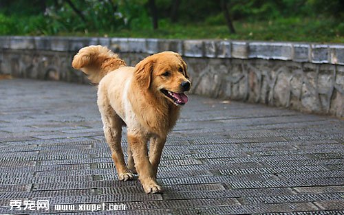 �г��ϵ�äȮ�ļ۸�һ���Ƕ��٣�