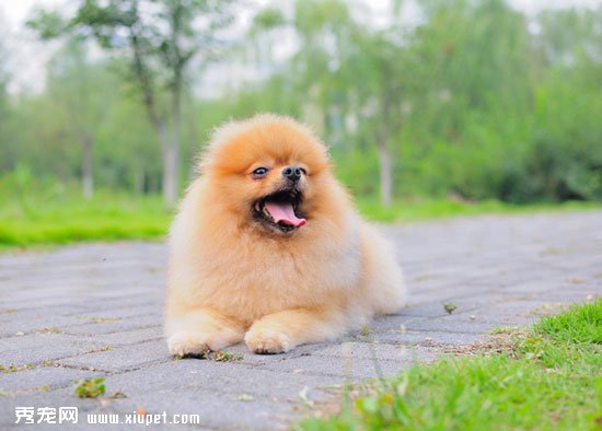 ����Ȯҧ����ô�죿����������ҧ�˶�ϰ��ѵ������