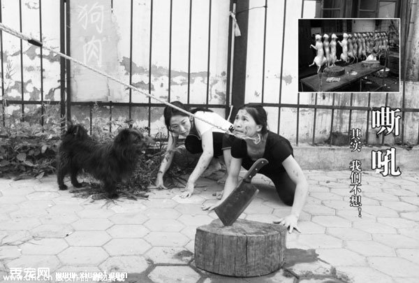 �ֹ�����ҶӶ�Ա�������˹� ���鹷���