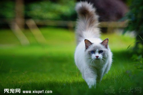 ����żè�۸񡿲�żè�۸��Ƕ��٣�