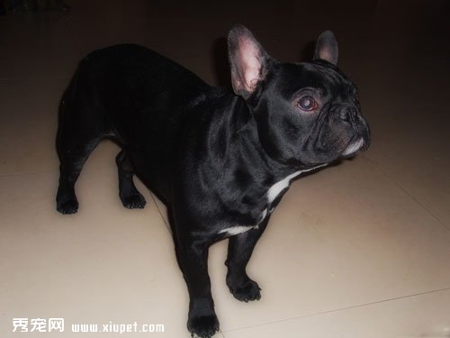 �����ڰ�������֤��Ҫ���Ѷ���Ǯ��