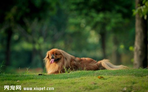 �ñ���Ȯ���������ͥ����ȡ�����ǲ����ķ���