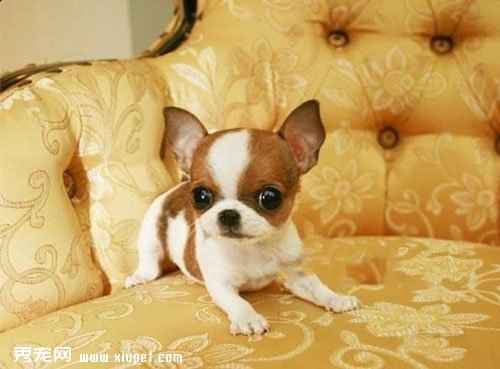 �豭Ȯ����ѡ��ʱ�����Ǳ���Ҫ������Щ���Σ�