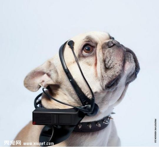 �������䱸�ĿƼ�С���� ��Ȼ���з����
