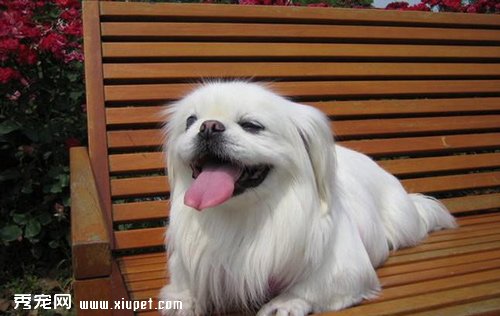 ����ȥ����Ժ���ݶ�����Щ������Ŀ��