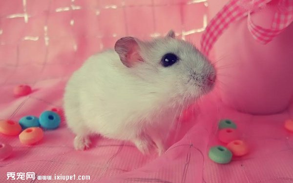 �ɰ��ĳ������ͼƬ