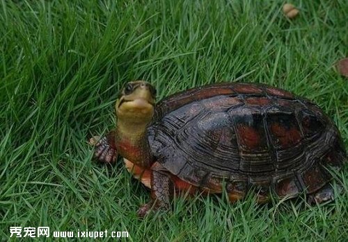 ��Ǯ�꽡�������ķ�������Щ��
