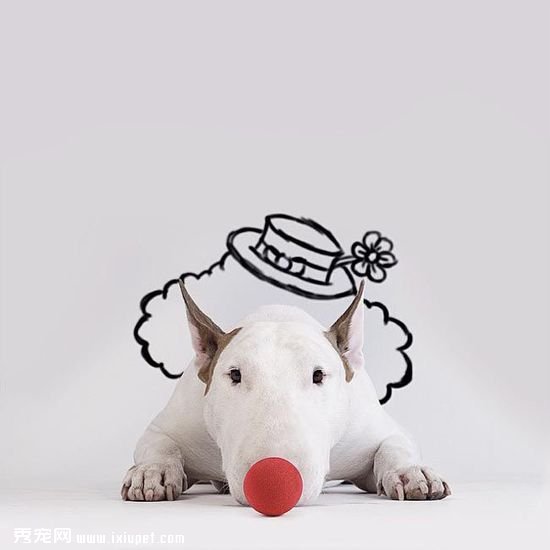 ������ӵĳ��ﹷ��ţ���Ͱ�ǽͿѻ��������