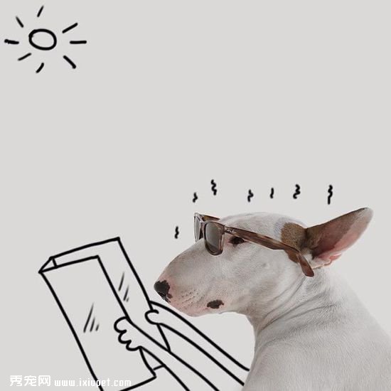 ������ӵĳ��ﹷ��ţ���Ͱ�ǽͿѻ��������