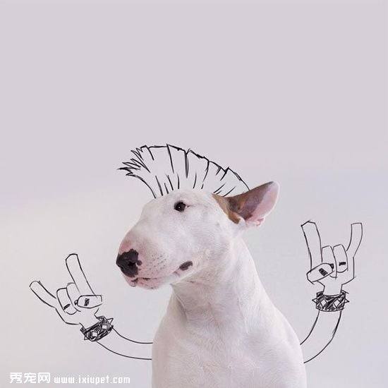 ������ӵĳ��ﹷ��ţ���Ͱ�ǽͿѻ��������