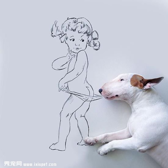 ������ӵĳ��ﹷ��ţ���Ͱ�ǽͿѻ��������