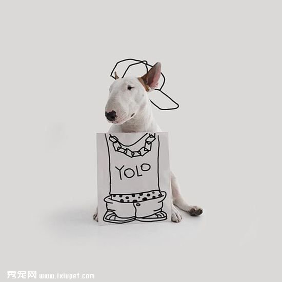 ������ӵĳ��ﹷ��ţ���Ͱ�ǽͿѻ��������