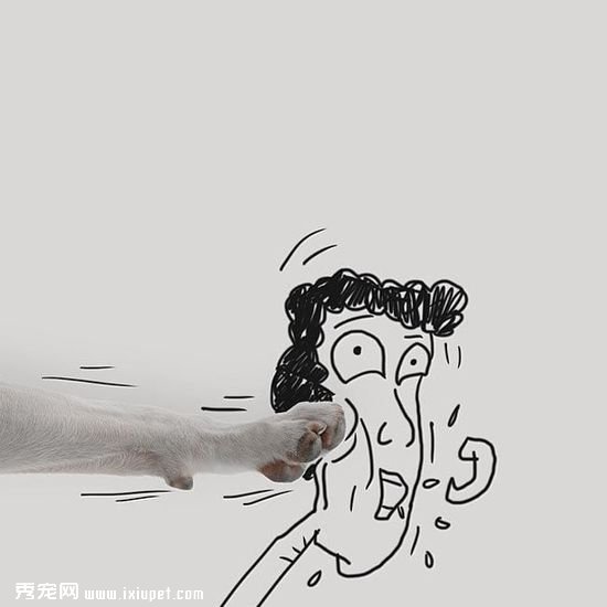 ������ӵĳ��ﹷ��ţ���Ͱ�ǽͿѻ��������