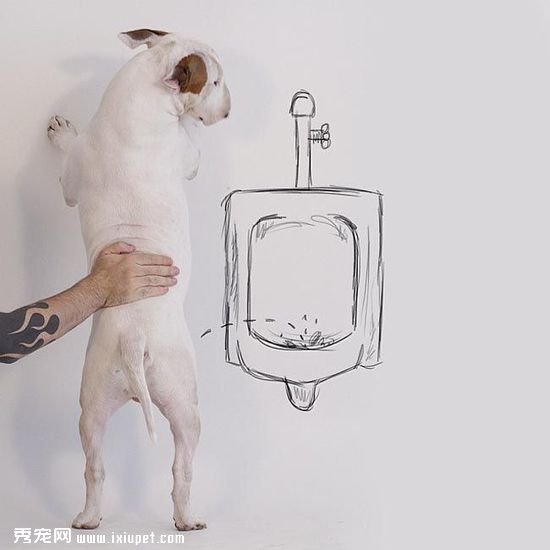 ������ӵĳ��ﹷ��ţ���Ͱ�ǽͿѻ��������