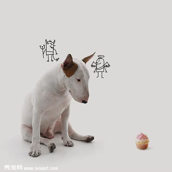 ������ӵĳ��ﹷ��ţ���Ͱ�ǽͿѻ��������
